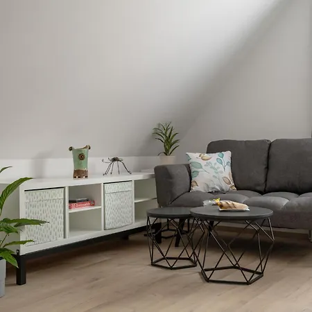 Apartament U Pisaru *